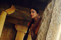 Soggade Chinni Nayana Movie Photos